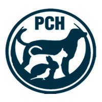 pch hyd(@PetHospitalhyd) 's Twitter Profile Photo