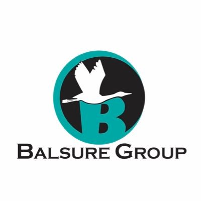 Founder Balsure Group. Cargo Solutions Limited. Lucerne International Ltd. The Great Indian Dhaba. Medvet Uganda Limited. Equator Print Solutions.