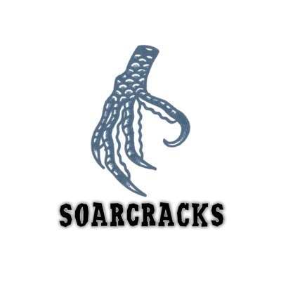 SoarCracks_officialさんのプロフィール画像