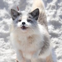 らてく (@ra_teku59457) Twitter profile photo