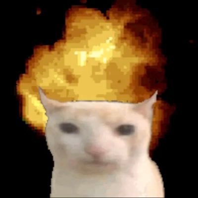 cursededits4u's profile picture. im so turnt rn