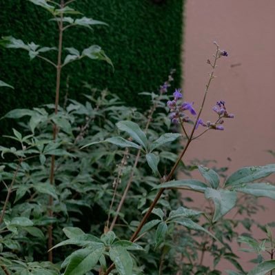 alsndyh33's profile picture. سامح ، فأنت ايضا كنت سيئ يومآ ما