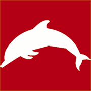 DolphinsPodNRL Profile Picture