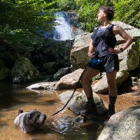 Amanda K Phillips de Lucas (@ewokandroll) 's Twitter Profile Photo Amanda K Phillips de Lucas (@ewokandroll) 's Twitter Profile Photo