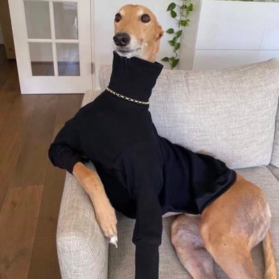whosjules3's profile picture. #Freecongo