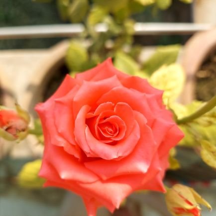 umesh33388's profile picture. बैंकर