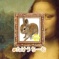 🐥⸒⸒あかりん🐰🐥⸒⸒ (@xclxrniukk5uvhb) 's Twitter Profile Photo 🐥⸒⸒あかりん🐰🐥⸒⸒ (@xclxrniukk5uvhb) 's Twitter Profile Photo