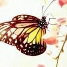 catiamirla6700's profile picture. 