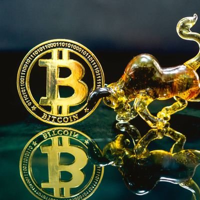 Dominik86080206's profile picture. 