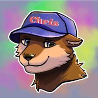 ChrisHvg(@ChrisHvg) 's Twitter Profile Photo