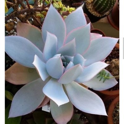 No17684481's profile picture. Deportes Música