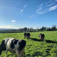 Eamon mooney (@eprmooney) 's Twitter Profile