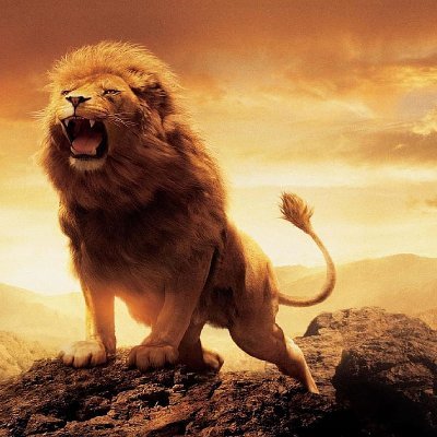 BhaveshSudhir's profile picture. 