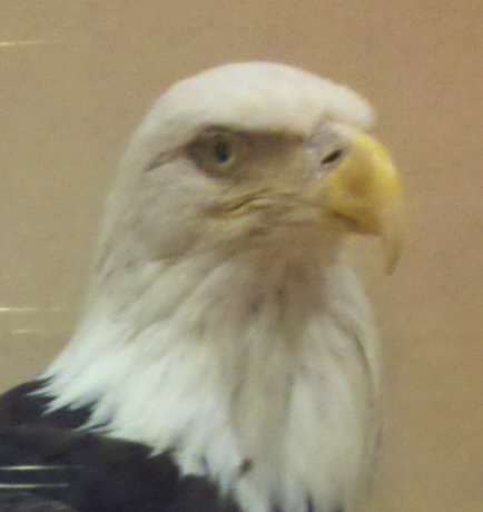 Andrewpski's profile picture. Just a bro