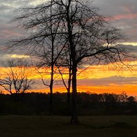 Timber Man (@patb50341788) 's Twitter Profile Photo