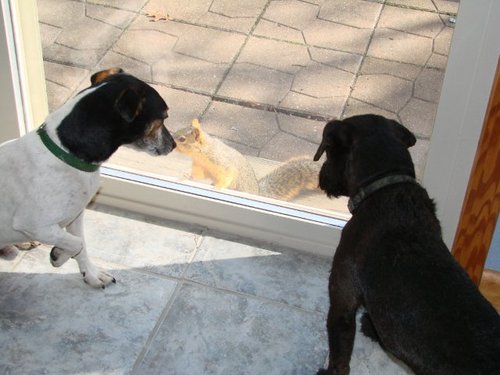 cade_potter's profile picture. 