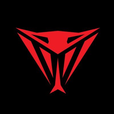 Official Patriot Viper Twitter - Helping equip gamers since 1985