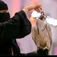 العنود (@alanodvb1622743) Twitter profile photo
