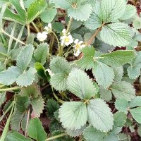 Gamze 🕳 (@gamze02orhan) Twitter profile photo