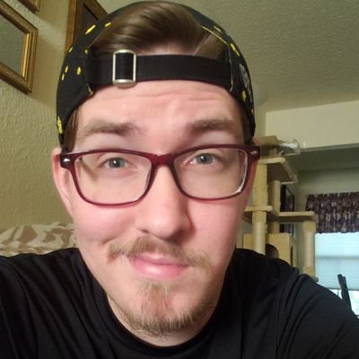 Twitch affiliate/moderator/community manager | Okay at games and stuff sometimes | Cat dad | Feed me and tell me I'm pretty