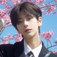 liu meng pics (@liumeng_twt) 's Twitter Profile