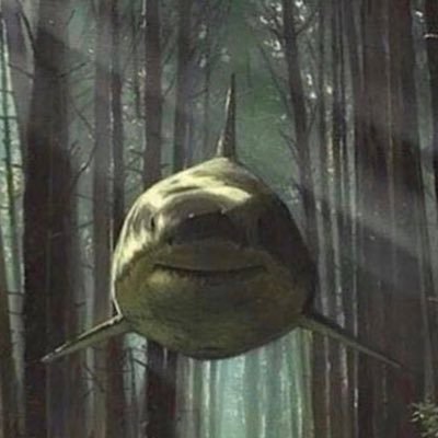 mitchell_kars's profile picture. 