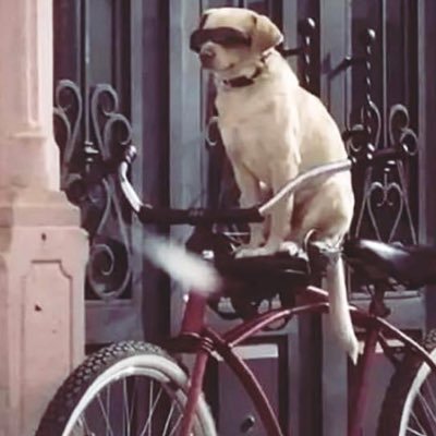 ChrisDMarquezC's profile picture. El señor de las plantas y los cables 3.9