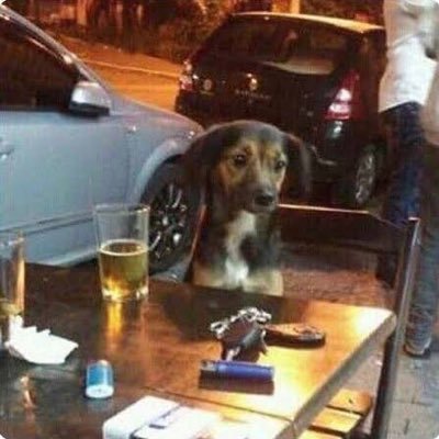 celiasramos's profile picture. voltei crl!