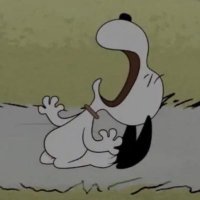 bobby (@bobby_stoeckert) 's Twitter Profile Photo