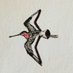 The White Falcon ๐ (@vaasetter) Twitter profile photo The White Falcon ๐ (@vaasetter) Twitter profile photo