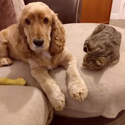 Head of Patient Experience and PALS