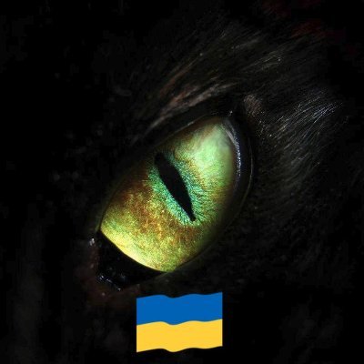 MENTULA BELLO!
Non Serviam! ~
Apatris haven't shelter ~
Melomaniac & felinologist ~
DDO/Gwent/D4/BG3 ~
MUFC❤️fan '97 ~
Lonely, Horny😈 & ISFJ ~
XMR: https://t.co/owgHSzvcvx