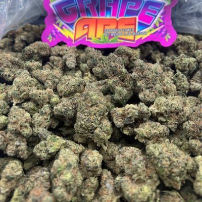 xotixbuds's profile picture. shipping near you place orders https://t.co/TTDirD9LYn