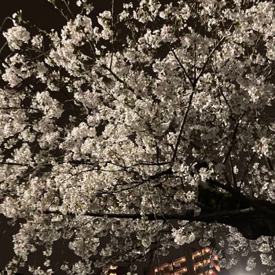 dnsjuzg's profile picture. 趣味：ジム サウナ Amazonアソシエイト利用中