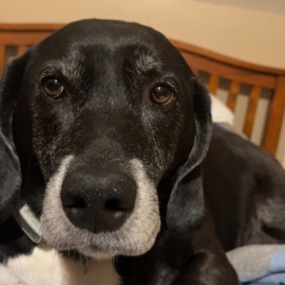 acrawford141's profile picture. Wartburg Wrestling ‘25