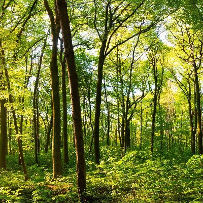 Gingi2008's profile picture. 