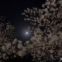 R (@raxvre) 's Twitter Profile