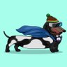 DegenDachshunds's profile picture. 🐕 🏟️ Home of The “Sausage Dogs” 🌭🧢 MINTING NOW! 🌭“Wrrooof!” 🐕‍🦺 🥅 Core Mission:🐶Dog Rescue & Rehab Dachshunds! Many suffer from #IVDD🐕👨‍🦽👩‍⚕️🥹🙏🐾