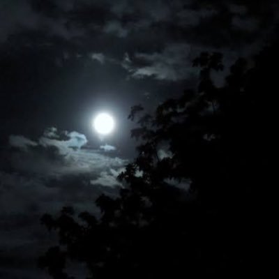 that_sphephelo's profile picture. activist. Evening must fall. System change = social justice