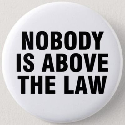 Big Ten alum, admitted to NY bar. Dual US/Canada citizen. Democrat. #NeverVoteConservative. Opinions are my own. I block Covidiots & MAGAts.