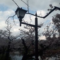 政治と生活は隣合わせ緊急事態事条項は絶対ダメ@選挙行こう!日本人 (@senkyodaizi_iko) 's Twitter Profile Photo 政治と生活は隣合わせ緊急事態事条項は絶対ダメ@選挙行こう!日本人 (@senkyodaizi_iko) 's Twitter Profile Photo
