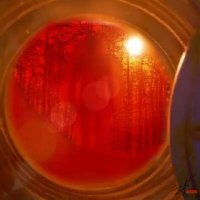 Rock'N'Roll Rick (@rickdude411s) 's Twitter Profile Photo