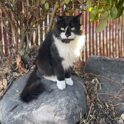 032f6da005b0465's profile picture. 