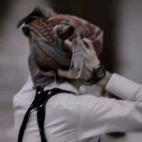 “وتَــــــــر”. (@66iql) 's Twitter Profile