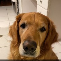 ctmomvotes (@grazianomissy) 's Twitter Profile