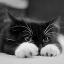 Julia Andreeva - @Jully_Andreeva - Twitter