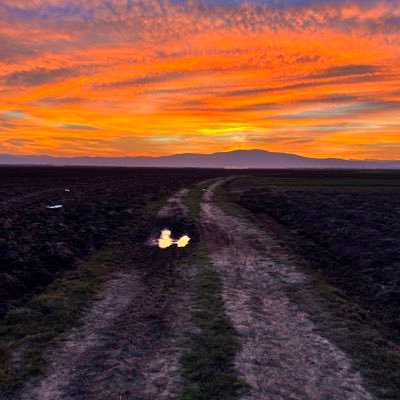 DecoEnsemble's profile picture. 'One of the UK's finest #tango ensembles' with a ‘strong and highly individual voice’, formed by @glowacki92 @ricardogosalbo @EMarigomez