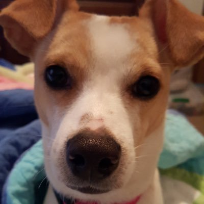 Cindy_Charlie22's profile picture. 