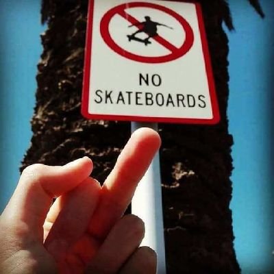 SkateboardMan19 Profile Picture