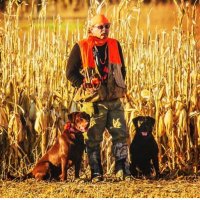 Dave Olsen (@pheasantphun) 's Twitter Profile